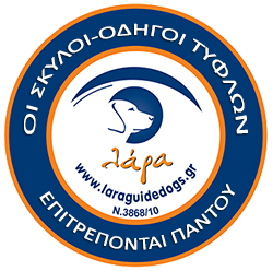 Στήριξη του Ινστιτούτου Ophthalmica στη Σχολή Σκύλων - Οδηγών Τυφλών Lara 1 lara dog 1