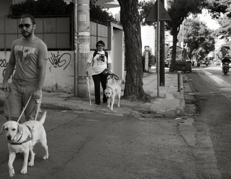 Στήριξη του Ινστιτούτου Ophthalmica στη Σχολή Σκύλων - Οδηγών Τυφλών Lara 2 lara dog 4