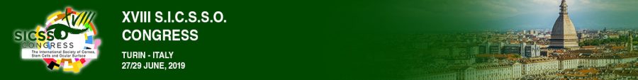 sicsso footer