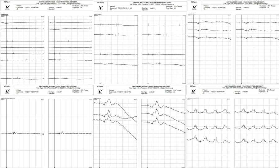 Fig. 4 HQ 1