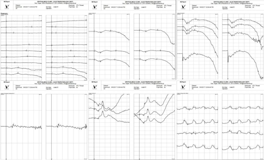Fig. 5 HQ 1