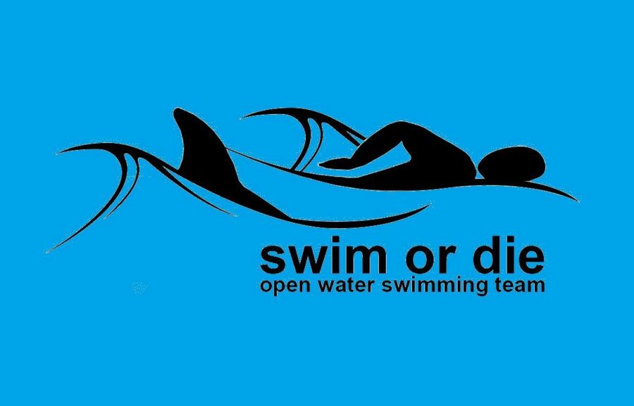 swim 4