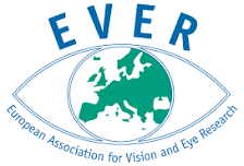 Ever logo 3