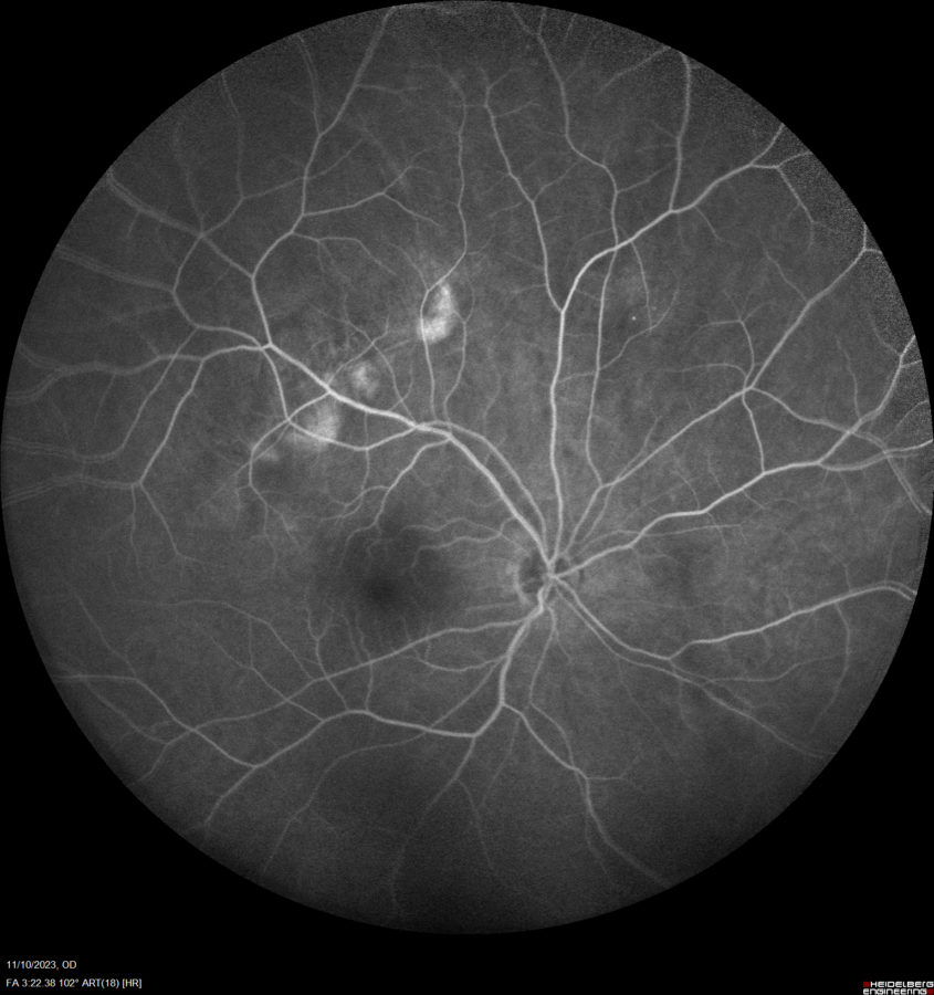Fig. 4 HQ