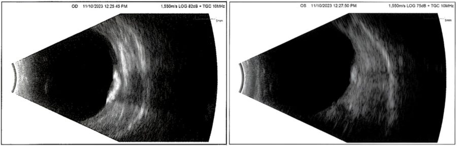 Fig. 6 HQ