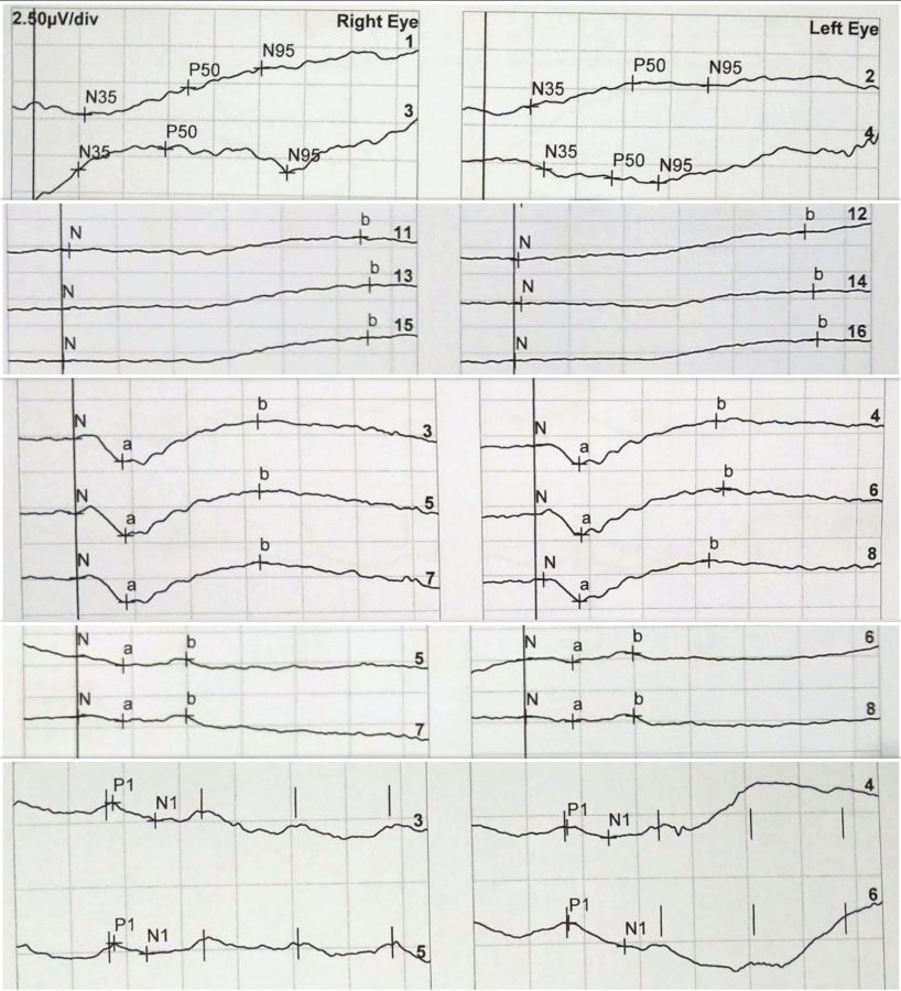 Fig. 4 HQ