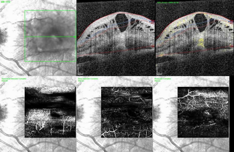 Fig. 3 HQ