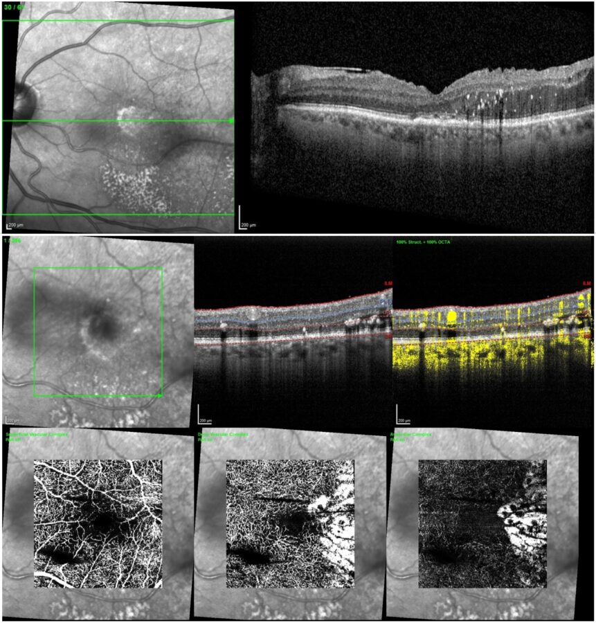Fig. 5 HQ